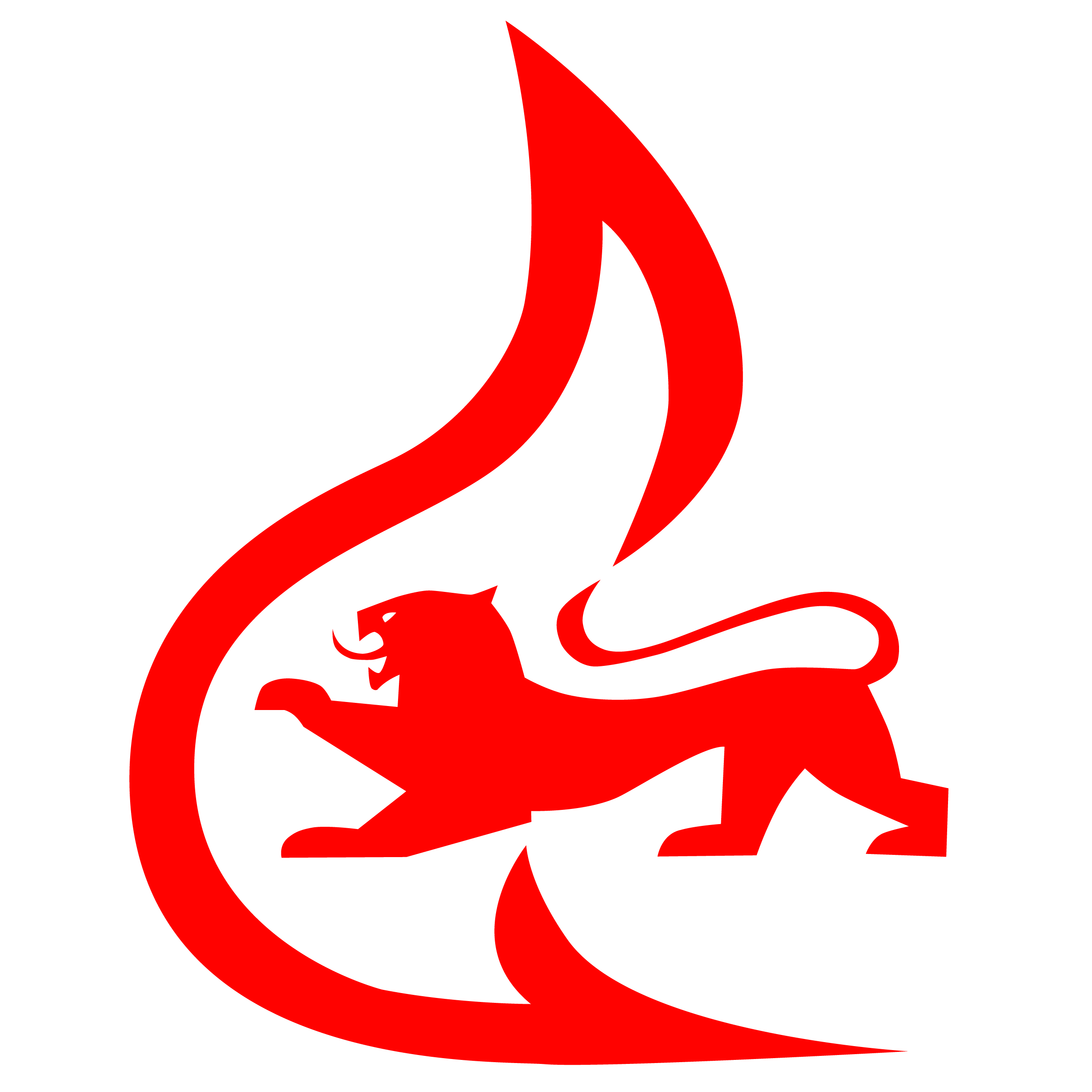 Kennzeichnungsschild DFV Logo und Signet Feuerwehr im Einsatz beidseitig