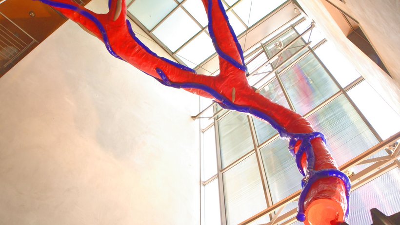 Kunst im Foyer der Übungshalle "Puls"