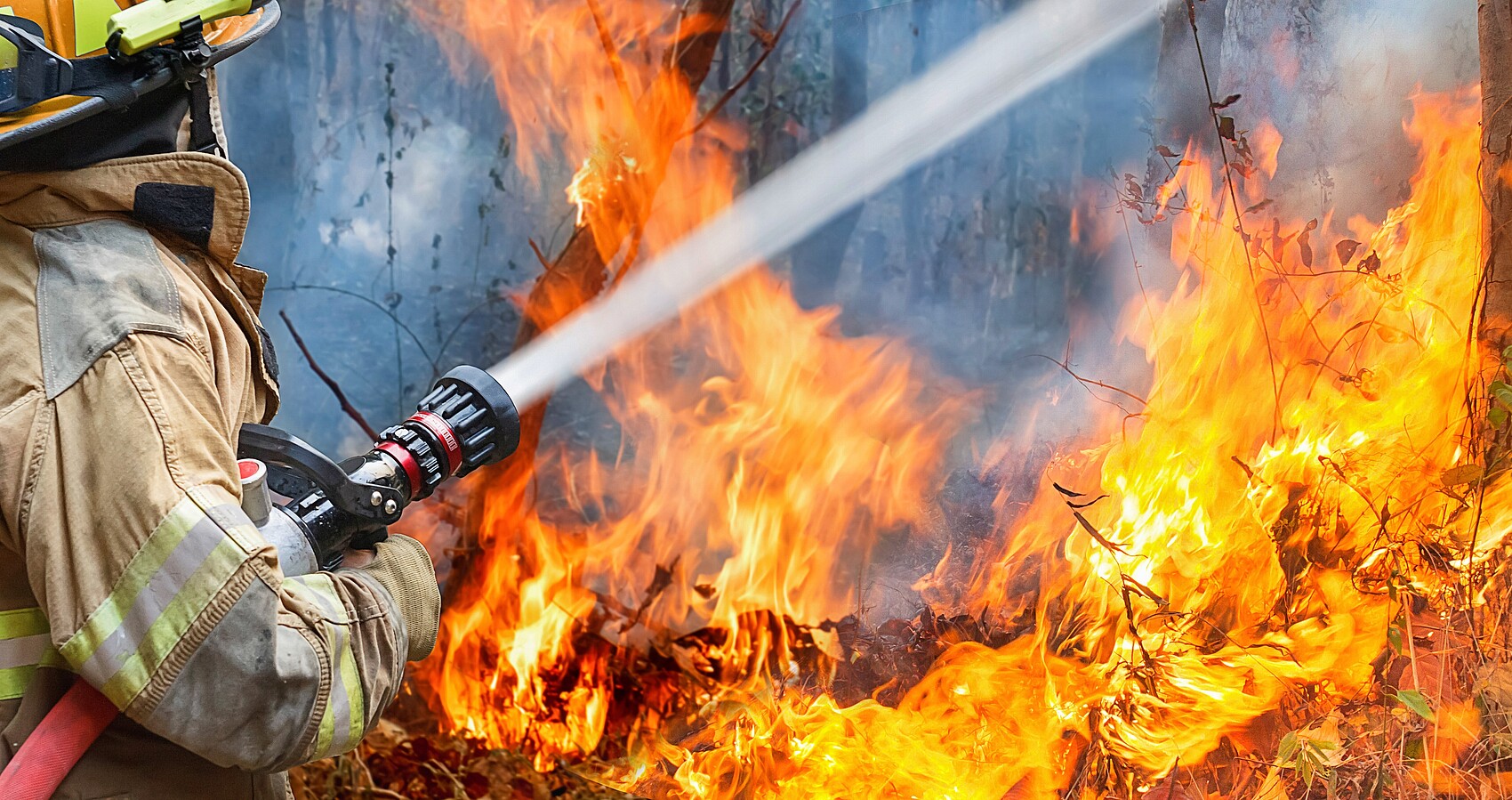 Feuerwehrmann hält Wasserstrahl auf lichterloh brennende Bäume