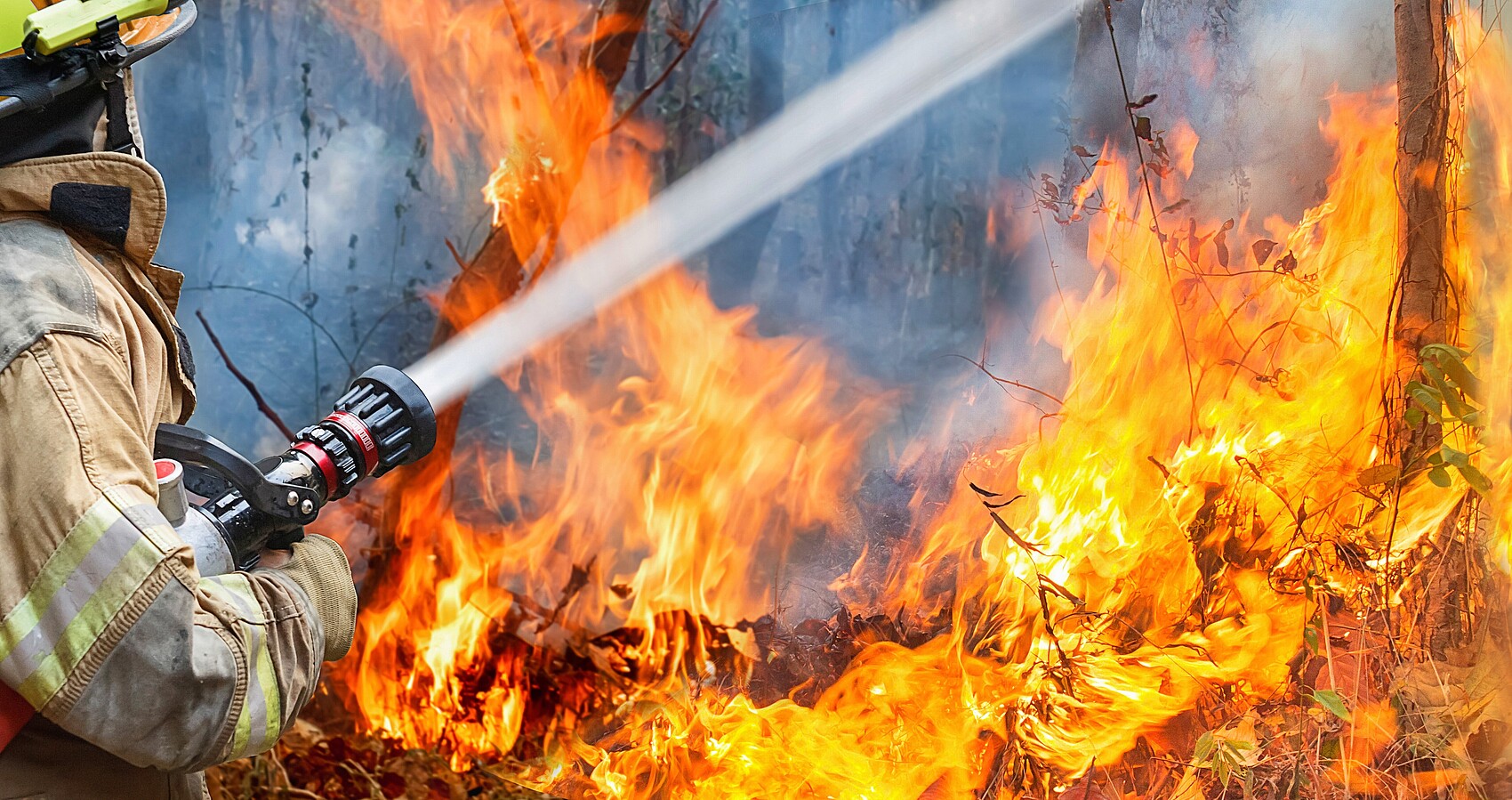 Feuerwehrmann hält Wasserstrahl auf lichterloh brennende Bäume