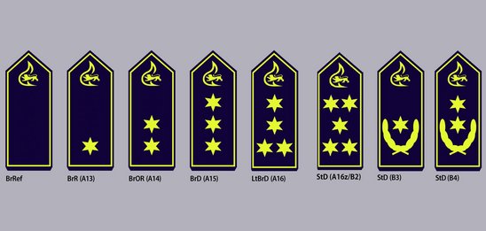 Schulterklappen mit Dienstgradabzeichen höherer feuerwehrtechnischer Dienst