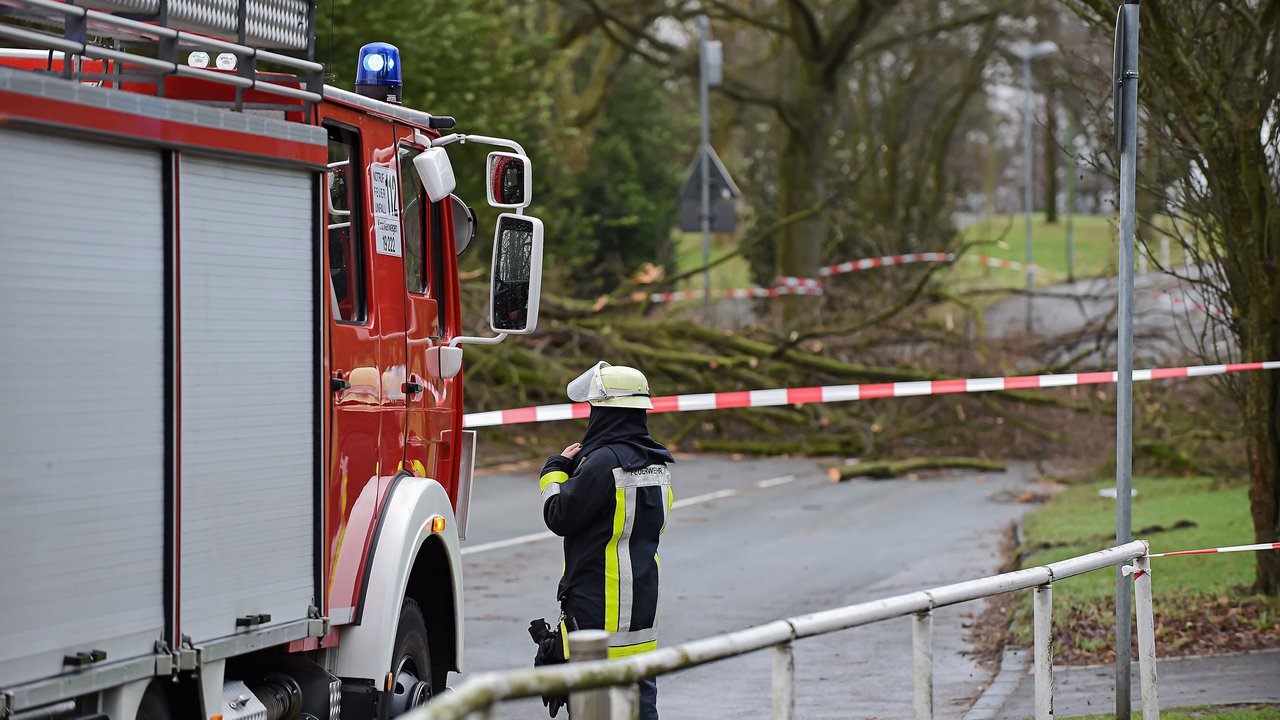 Feuerwehrfahrzeug und Einsatzkraft vor einem umgestürzten Baum der quer über eine Straße liegt