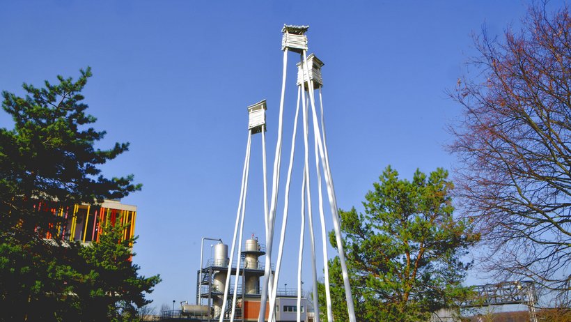 Kunst auf dem Gelände der LFS "drei"