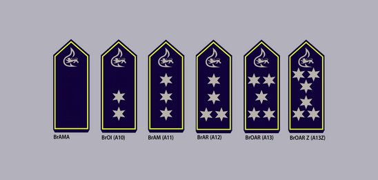 Schulterklappen mit Dienstgradabzeichen gehobener feuerwehrtechnischer Dienst