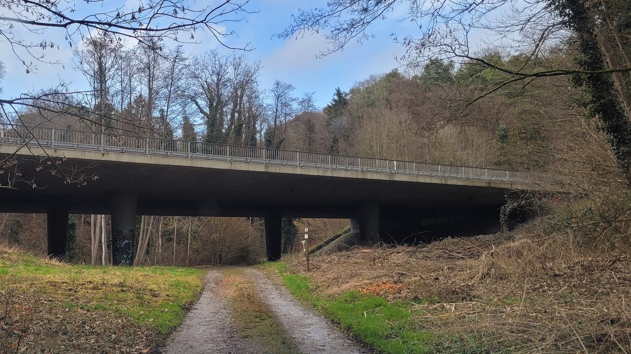 Das Foto zeigt die Brücke B 31 im Wald. Darunter verläuft ein Feldweg