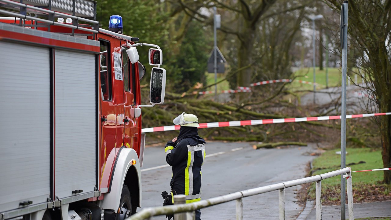Feuerwehrfahrzeug und Einsatzkraft vor einem umgestürzten Baum der quer über eine Straße liegt