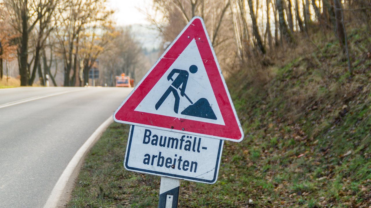 Das Foto zeigt ein Baustellenschild mit dem Schriftzug "Baumfällarbieiten" das am Rand einer Straße steht, die durch einen Wald führt