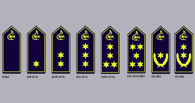 Schulterklappen mit Dienstgradabzeichen höherer feuerwehrtechnischer Dienst