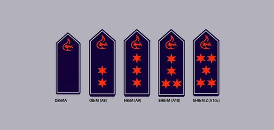 Schulterklappen mit Dienstgradabzeichen mittlerer feuerwehrtechnischer Dienst