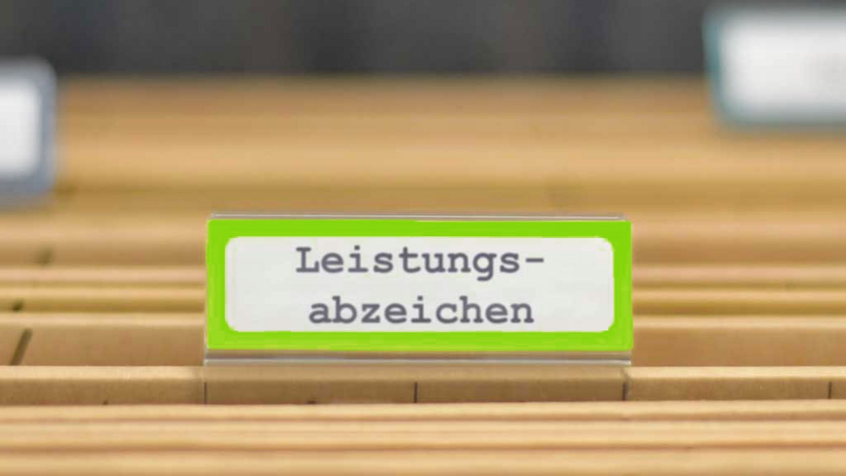 Hängeregister mit der Beschriftung Leistungsabzeichen