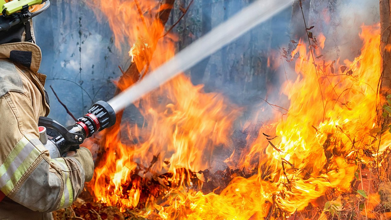 Feuerwehrmann hält Wasserstrahl auf lichterloh brennende Bäume