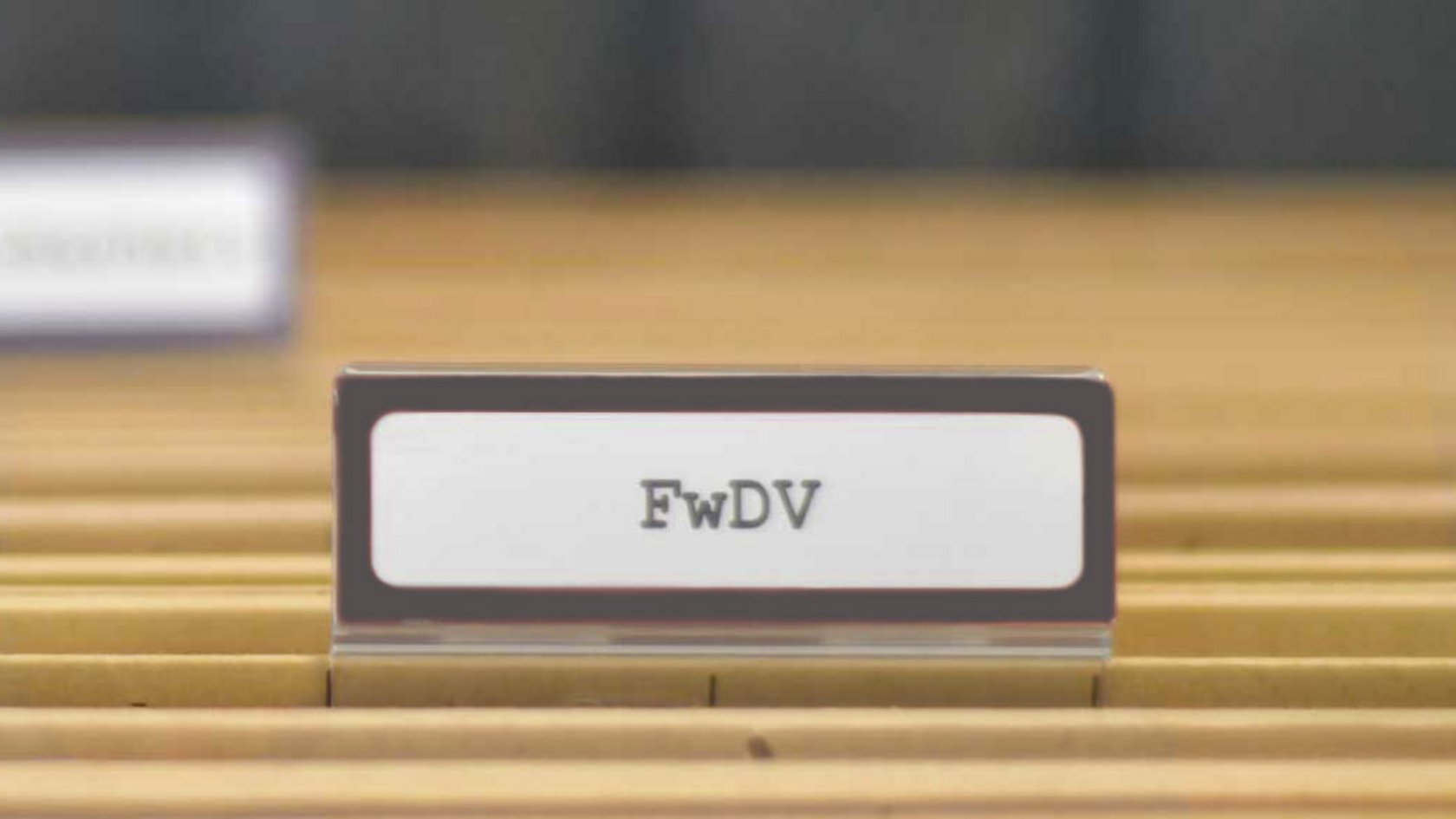 Hängeregister mit der Beschriftung FwDV