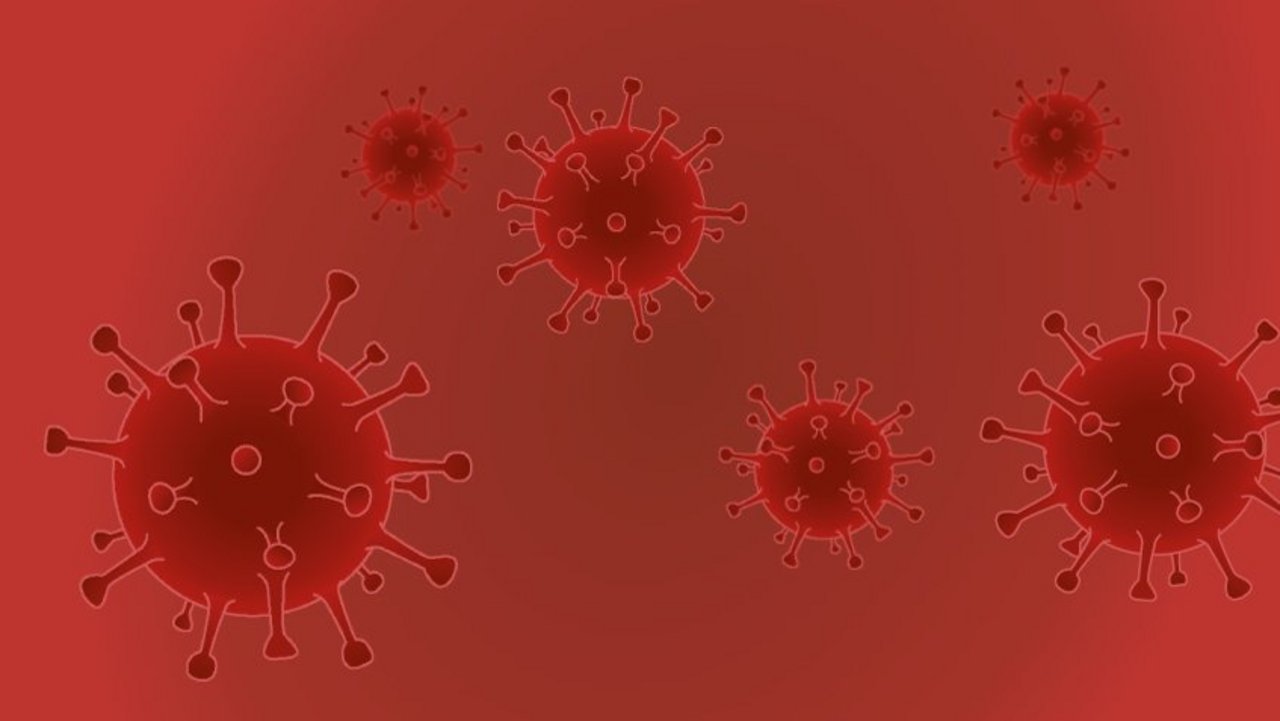 Darstellung von SARS-CoV2-Viren