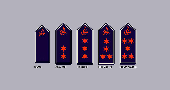 Schulterklappen mit Dienstgradabzeichen mittlerer feuerwehrtechnischer Dienst