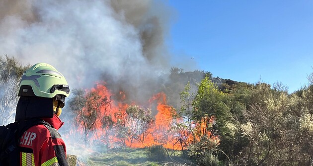 Eine Feuerwehreinsatzkraft bekämpft einen Vegetationsbrand